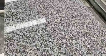 白山 芙蓉白光面