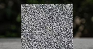 白山 芝麻黑荔枝面