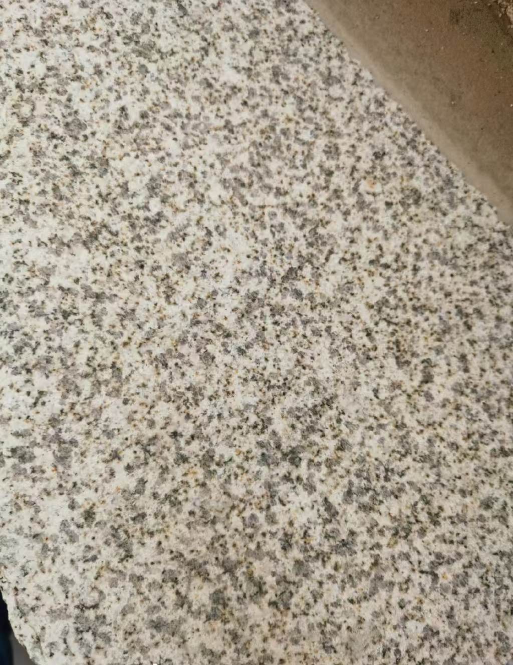 白山 黄金麻中黄光面
