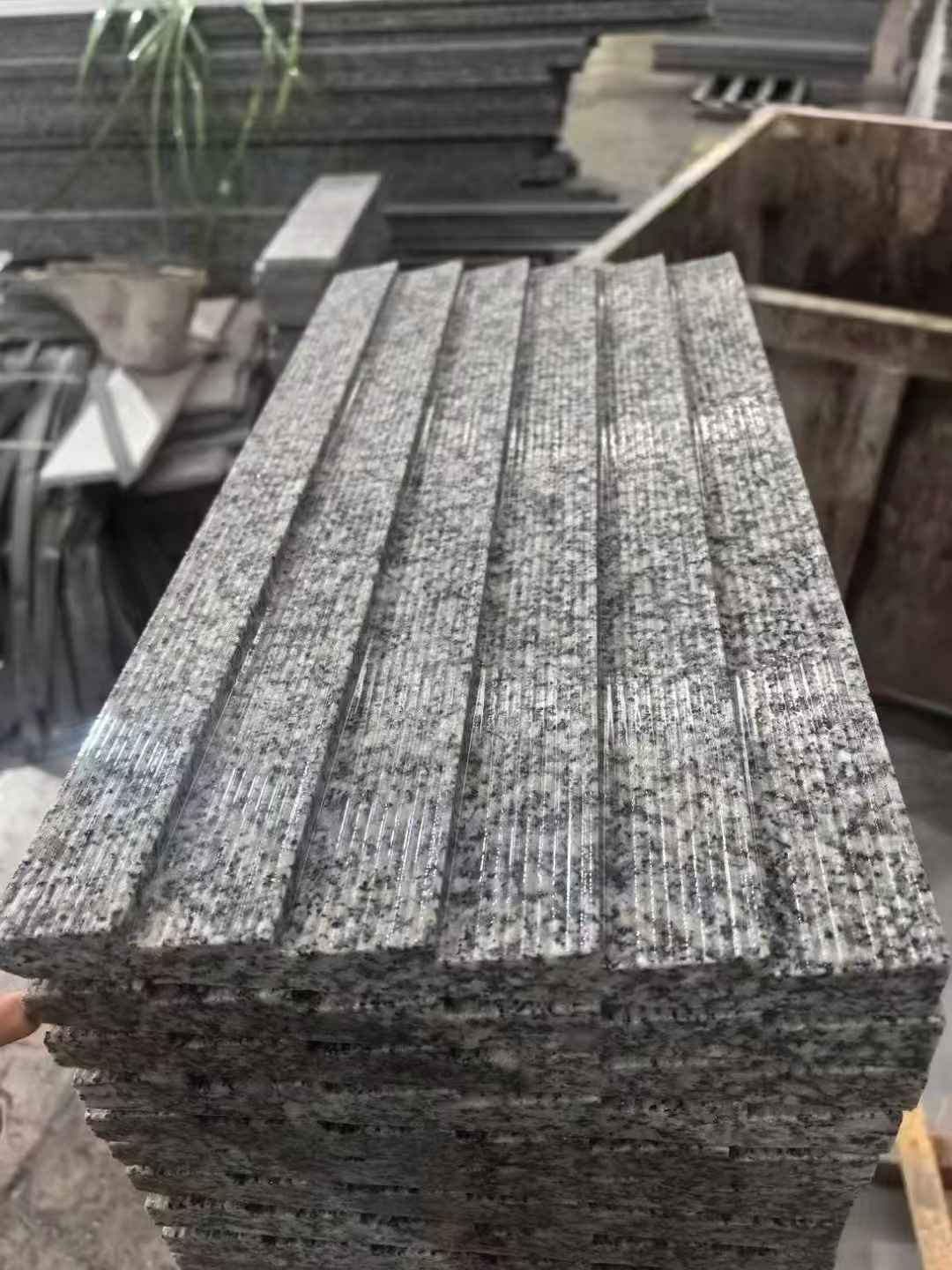 白山 狼牙石