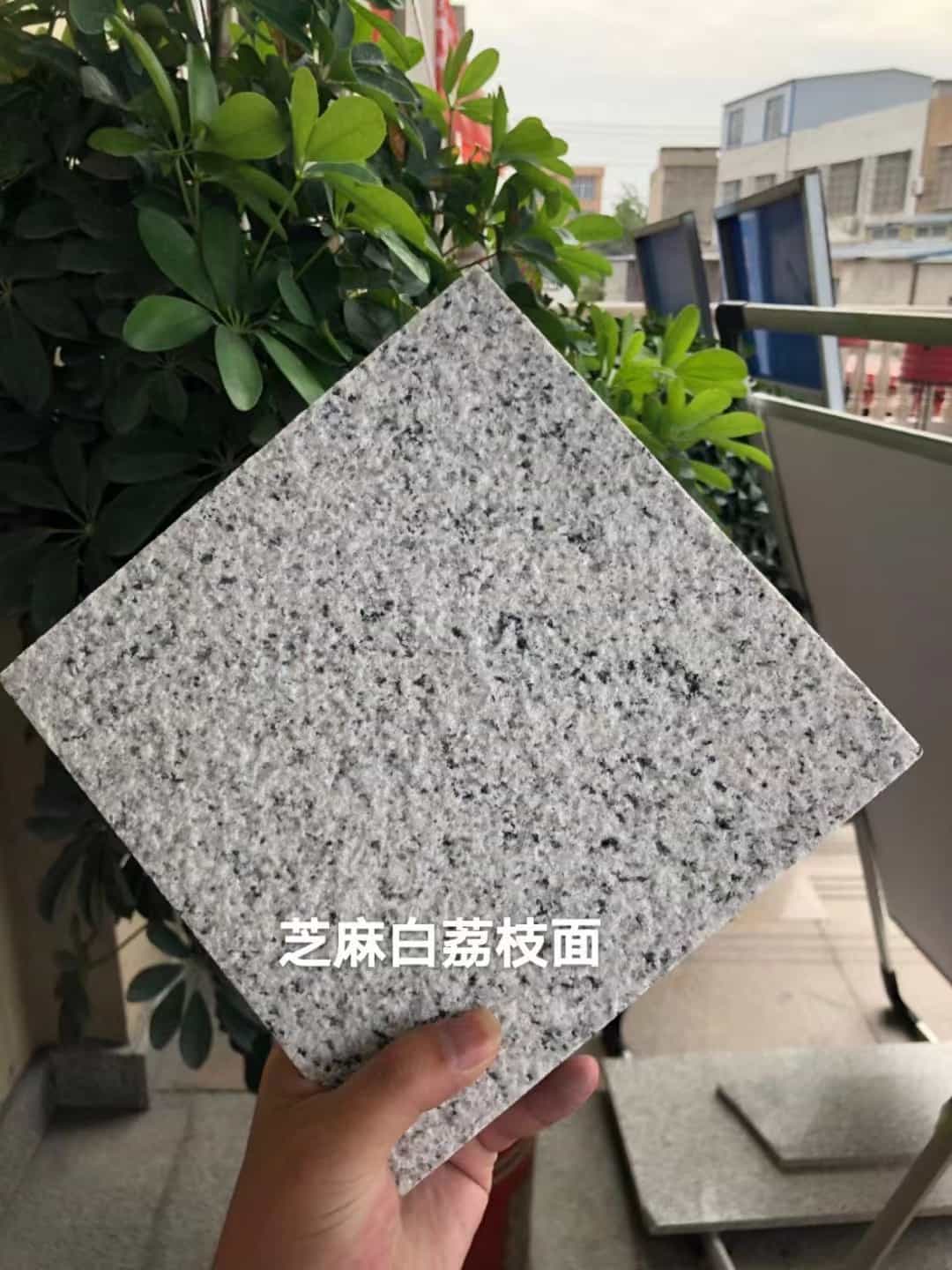 白山 芝麻白荔枝面干挂